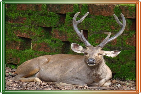 Kanpur Zoological Park